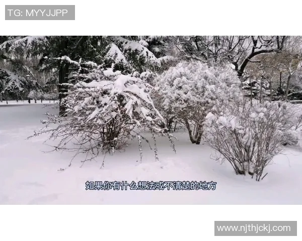 武汉乒乓球队盯防战术解析与热点动态深度解读 武汉乒乓球队盯防战术解析与热点动态深度解读