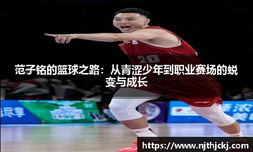 V体育网页版入口